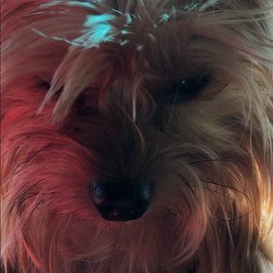 Meet your Posher, Gloria